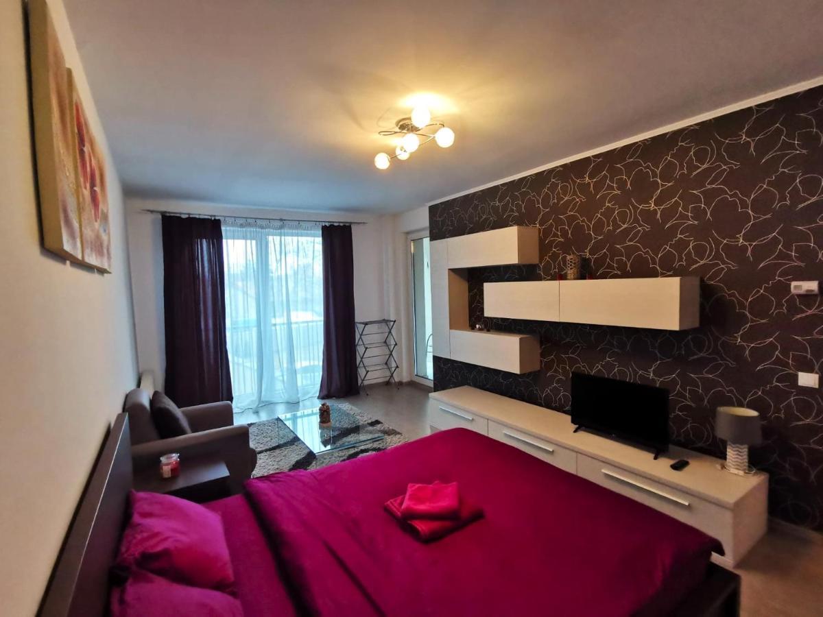 Contemporary Central Apartment In Cluj Napoca Экстерьер фото