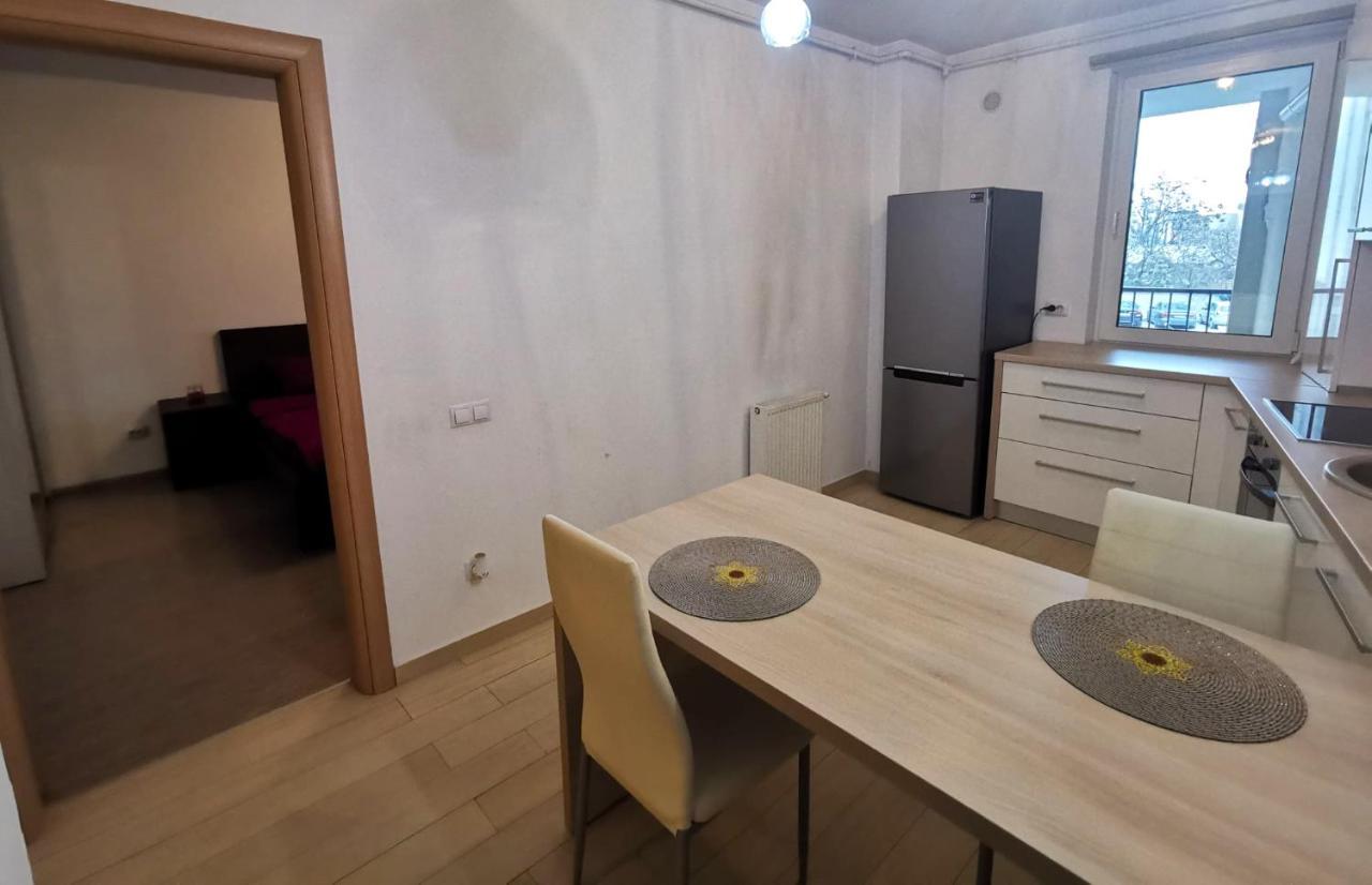 Contemporary Central Apartment In Cluj Napoca Экстерьер фото